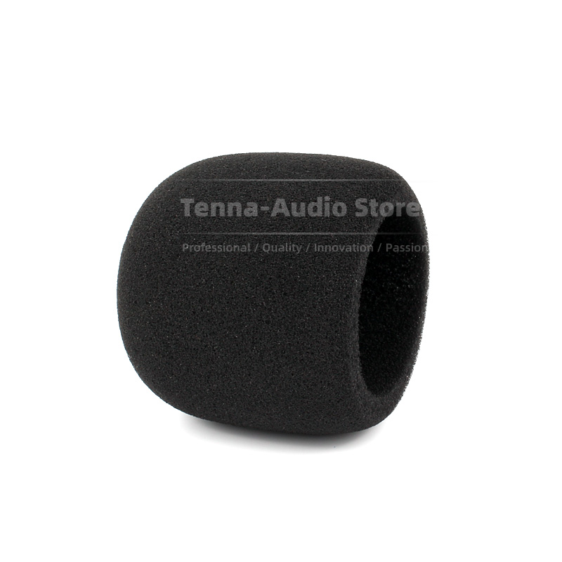 Reemplazo para SONY PCM D10 PC - Recording Pop Filter reseña y precio